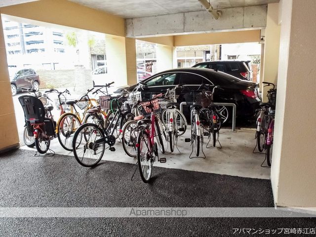 DOLCEのその他写真