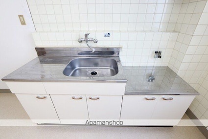 サントハウス[2DK/47.02m2]のキッチン