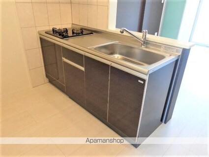 ルミナスＡ[1LDK/43.96m2]のキッチン