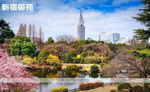 パークアクシス四谷ステージの周辺写真