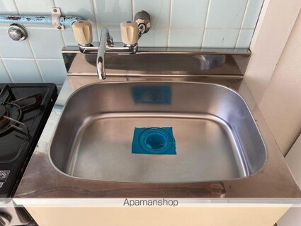 グリーンヒルズ宮脇[1DK/18m2]の洗面所