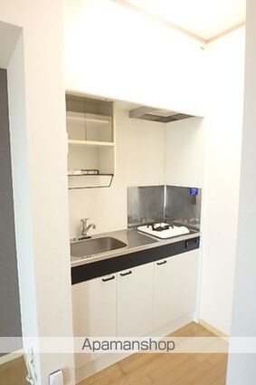 ＰＡＬＡＳＴ[1R/29.44m2]のキッチン