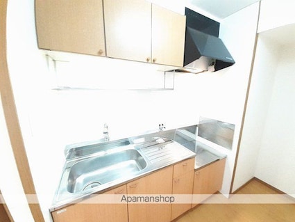 ロジュマン　コシノハラ[2LDK/55.71m2]のキッチン