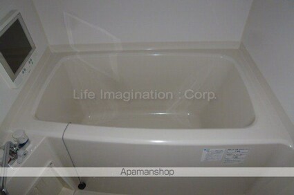 ラピスグローリー[1R/27.6m2]の共用部4