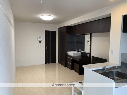 ミランダグレイス南手城[1R/27.8m2]のキッチン