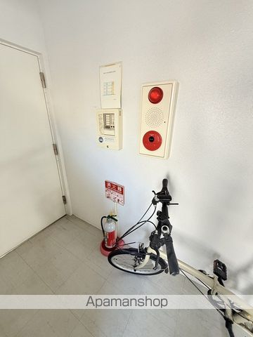 パナシェ宮の森のその他写真