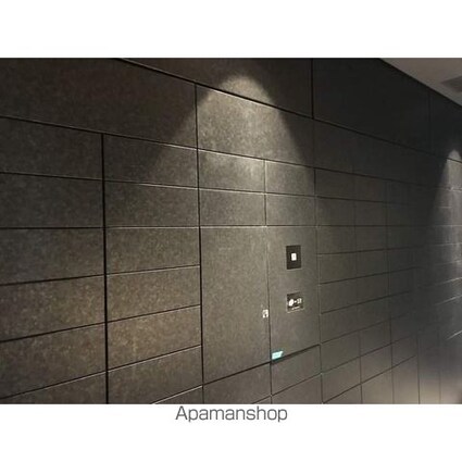 ザ・パークハビオ新高円寺[1K/25.23m2]の共用部2