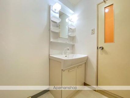 ＡＬＬ上福岡[2LDK/55m2]の洗面所