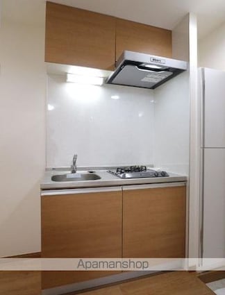 Ｎｅｏ　ｖｉｔａ新小岩[1K/20m2]のキッチン5