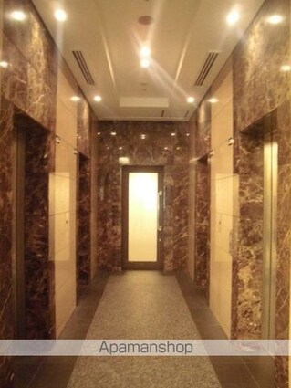 ＴＨＥ　ＴＯＫＹＯ　ＴＯＷＥＲＳ　ＭＩＤＴＯＷＥＲ[1LDK/53.81m2]の共用部10