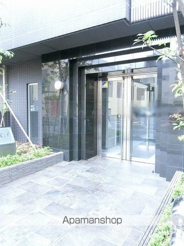 Y&ELFのその他写真