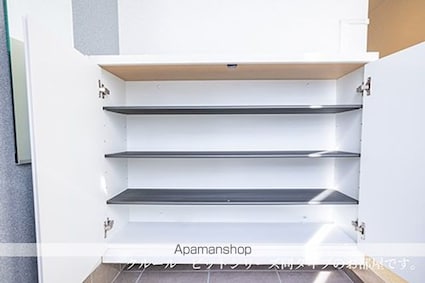 モデルノⅠ[1LDK/40.11m2]の収納