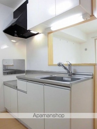 ラッフィナート・ドゥーエ[1LDK/46.28m2]のキッチン