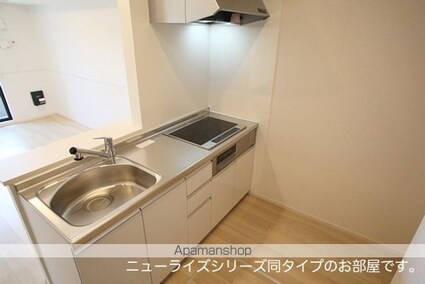 ヒカルサ東岩槻[1LDK/44.2m2]のキッチン