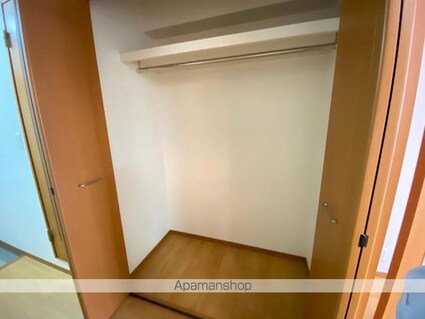 シャンドゥエピナール[1R/29.6m2]の収納