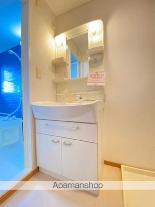 サンパティーク・メゾンＡ[2LDK/54.85m2]の洗面所