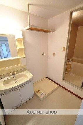 熊本県八代市田中西町[2LDK/52.99m2]の洗面所