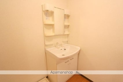 アメニティ上福岡[2LDK/61.64m2]の洗面所