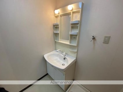 香川県高松市檀紙町[1K/36.5m2]の洗面所