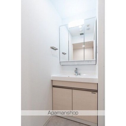 グランカーサ船堀Ⅱ[2LDK/51.67m2]の洗面所