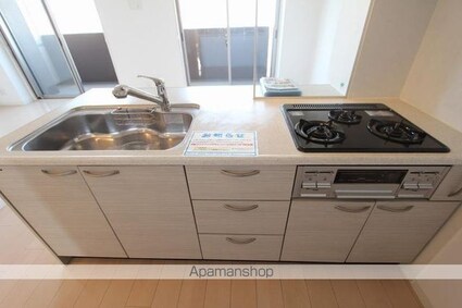 アルファライフ松島公園Ⅱ[2LDK/58.71m2]のキッチン