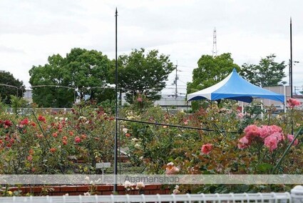 フラン・メゾン　Ａ[1K/34.15m2]の周辺7