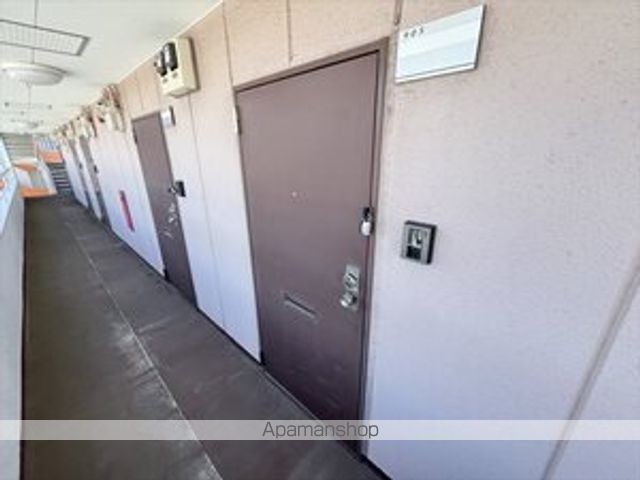コスモス菊水のその他写真
