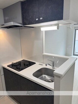 メインステージ板橋志村Ⅲ[1LDK/36.06m2]のキッチン