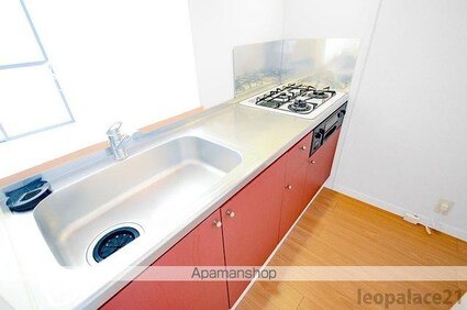 レオパレスパークサイド・Ｍ[2DK/49.68m2]のキッチン