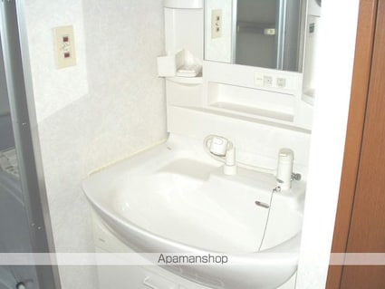 シティハイムナガタⅡ[2LDK/47.85m2]の洗面所