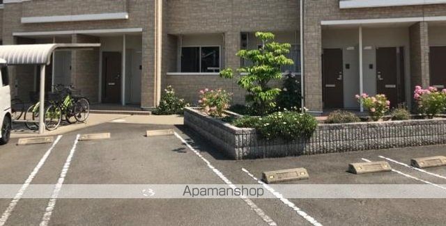 プルメリアのその他写真