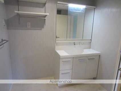 ヘリオスⅢ[3LDK/76.16m2]の洗面所