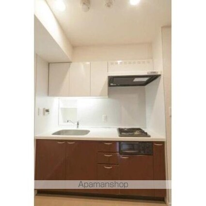 パークアクシス日本橋ステージ[1R/41.9m2]のキッチン