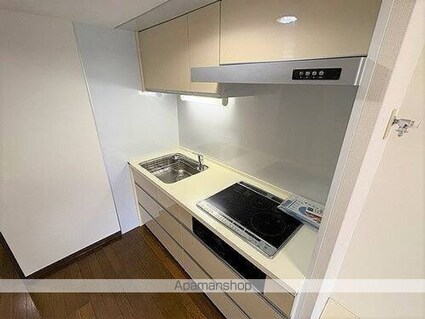 ライオンズマンション八王子めじろ台[1LDK/37.37m2]のキッチン