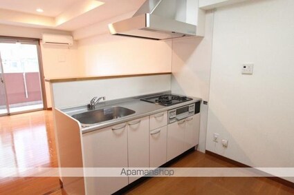 ＣＡＳＡ　ＡＮＧＥＬＩＣＡ[1K/37.2m2]のキッチン