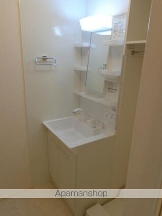 プレンティー新徳田[1R/31.87m2]の洗面所