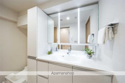 ルネ吉祥寺[3LDK/89.73m2]の洗面所