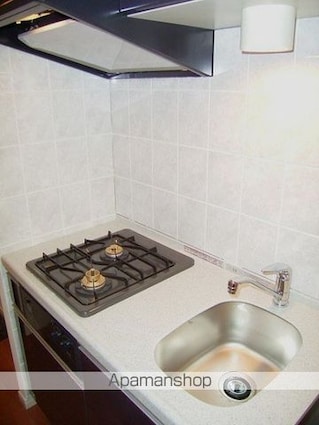 トーシンフェニックス落合公園[1K/20.9m2]のキッチン