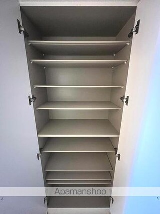 エスティメゾン錦糸町Ⅱ[1DK/40m2]の収納2
