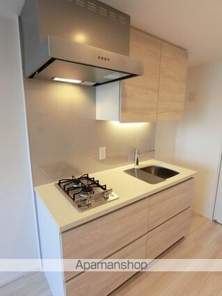 ザ・パークハビオ月島フロント[1R/25.66m2]のキッチン