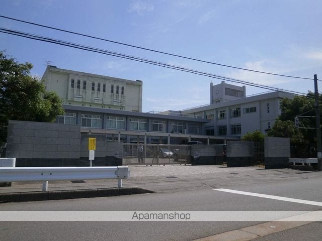 シナモンの周辺写真
