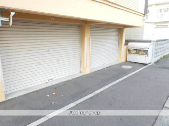 フェリシティのその他写真