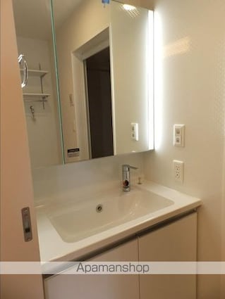 ディアライズ西市[1LDK/40.07m2]の洗面所