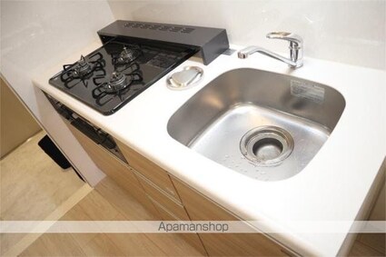 トレジャー西八王子[1K/30.51m2]のキッチン