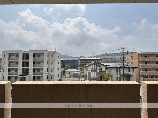 ハミングバードのその他写真
