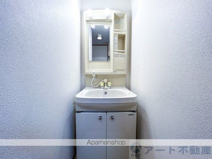 ブラウンハイム土居田[1K/24.8m2]の洗面所