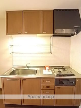 パークサイドＭ＆Ｔ[3DK/63.81m2]のキッチン