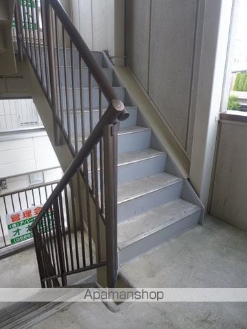 スカイルサクラのその他写真