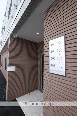 セントポーリアシェリルのその他写真