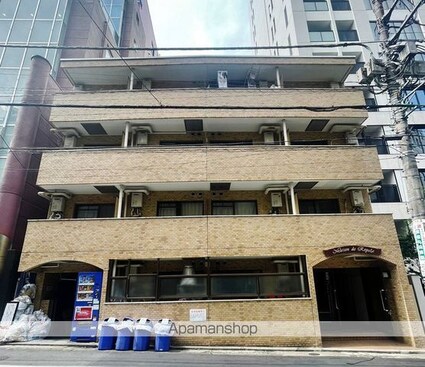 メゾン・ド・ロアイヤル[1R/13.78m2]の外観2